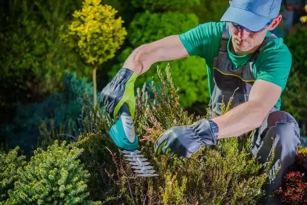 landscaping services Detroit Beach